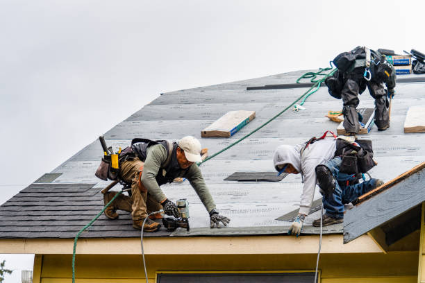 Professional Storm Damage Roof Repair technician working in Kathleen, FL